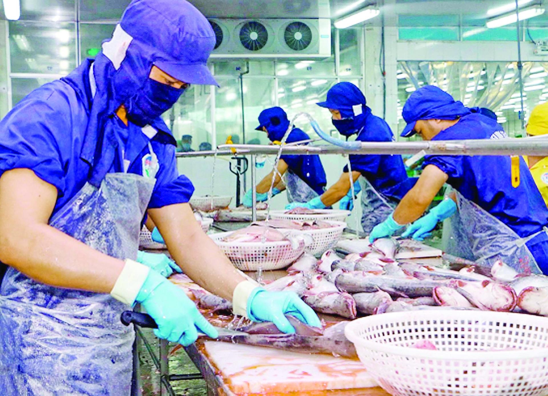 High price hampers Vietnam’s seafood exports to Asia-Pacific markets high price hampers vietnams seafood exports to asia pacific markets